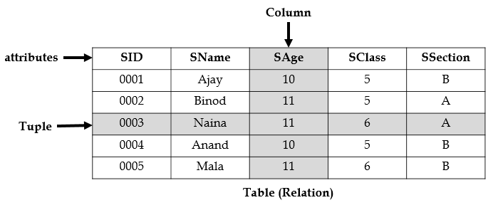 Data Models